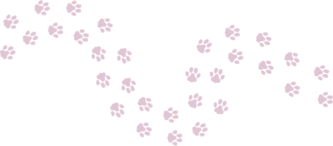 Cat steps 2